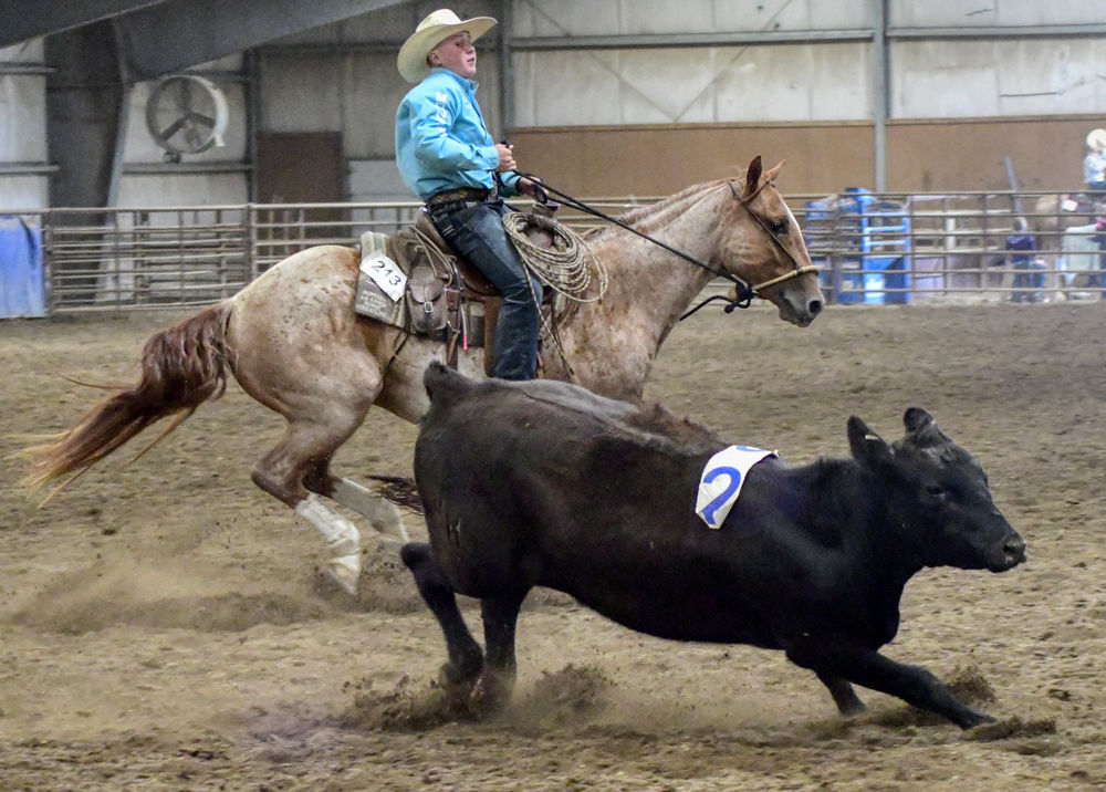 1000-2132019-08-25-4H-Ranch-Horse-Competition-Kings-Arena-_D507146.jpg